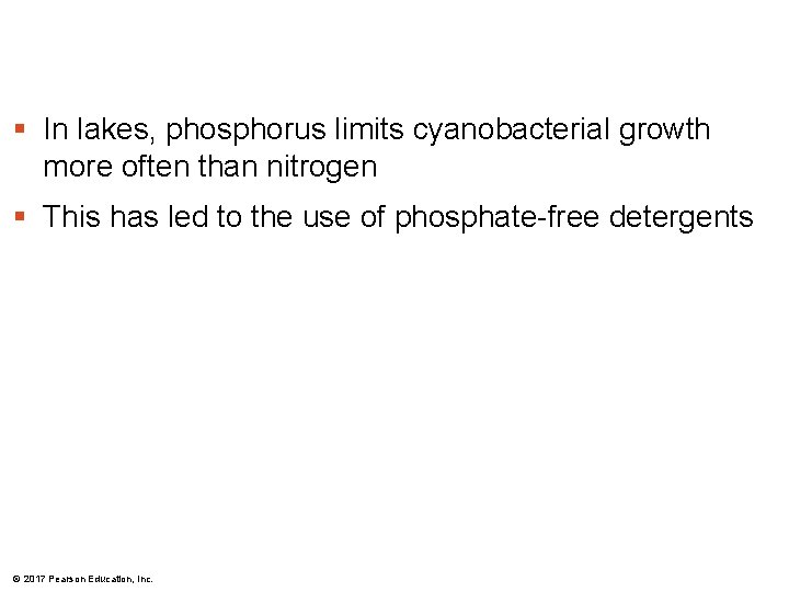 § In lakes, phosphorus limits cyanobacterial growth more often than nitrogen § This has