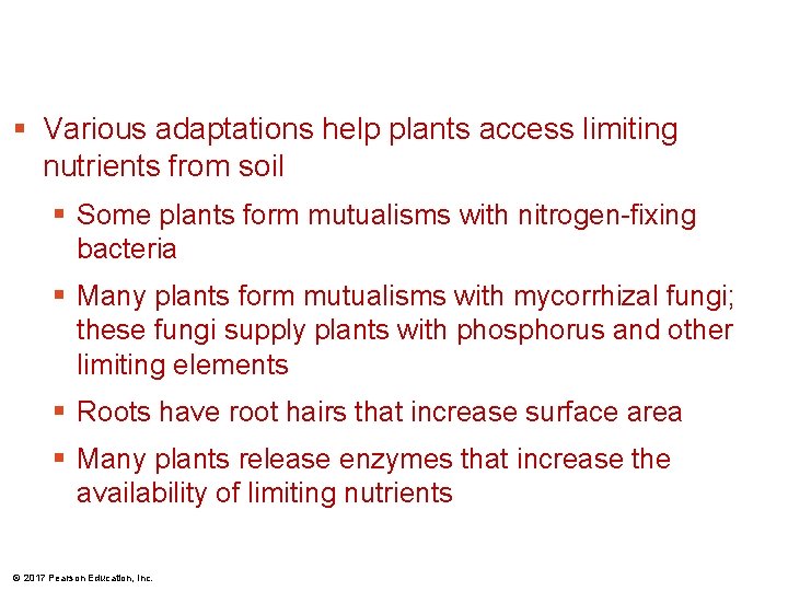 § Various adaptations help plants access limiting nutrients from soil § Some plants form