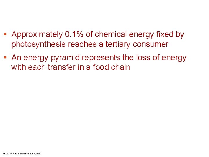 § Approximately 0. 1% of chemical energy fixed by photosynthesis reaches a tertiary consumer