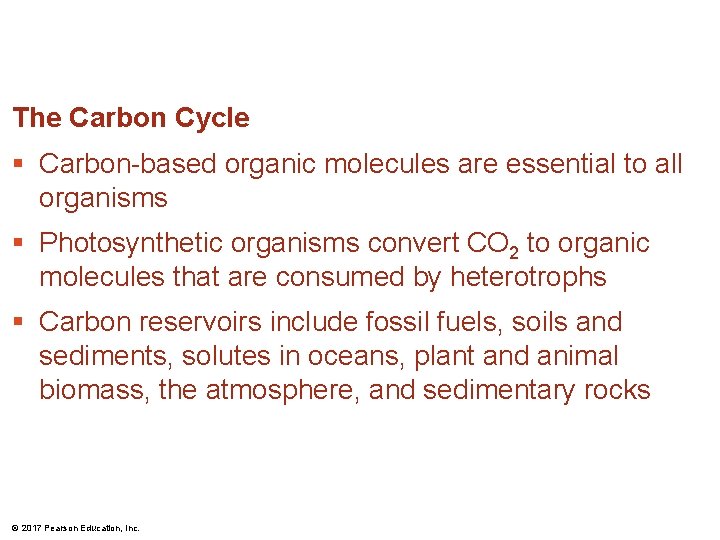 The Carbon Cycle § Carbon-based organic molecules are essential to all organisms § Photosynthetic