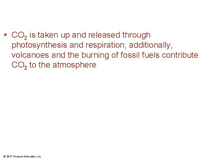 § CO 2 is taken up and released through photosynthesis and respiration; additionally, volcanoes