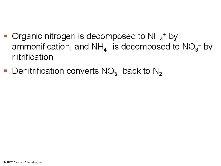 § Organic nitrogen is decomposed to NH 4+ by ammonification, and NH 4+ is