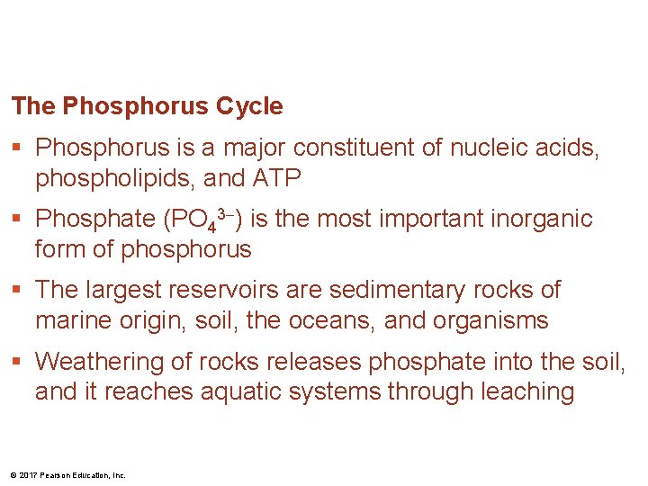The Phosphorus Cycle § Phosphorus is a major constituent of nucleic acids, phospholipids, and