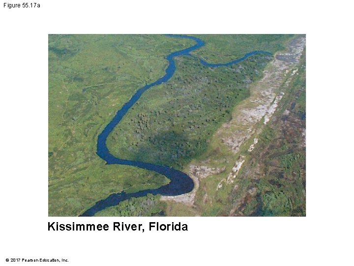 Figure 55. 17 a Kissimmee River, Florida © 2017 Pearson Education, Inc. 