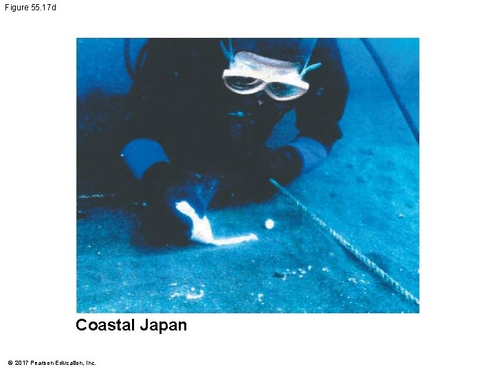 Figure 55. 17 d Coastal Japan © 2017 Pearson Education, Inc. 