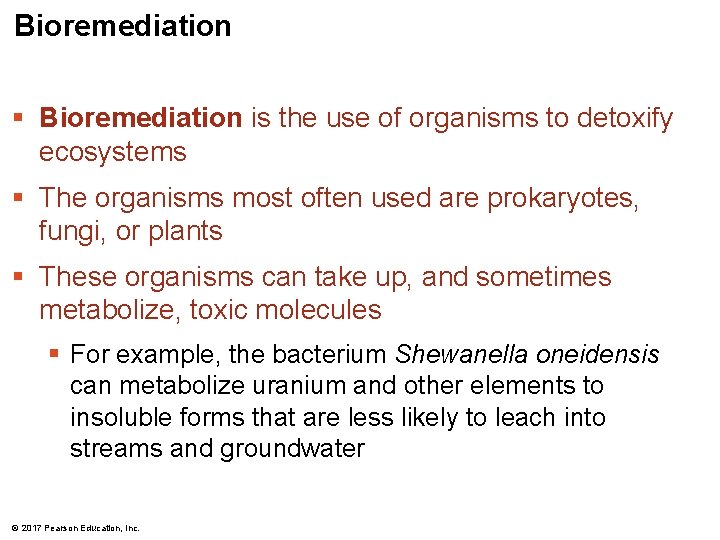 Bioremediation § Bioremediation is the use of organisms to detoxify ecosystems § The organisms