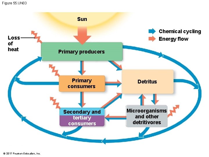 Figure 55. UN 03 Sun Loss of heat © 2017 Pearson Education, Inc. Chemical