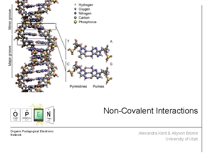 Non-Covalent Interactions Organic Pedagogical Electronic Network Alexandra Kent & Allyson Brome University of Utah