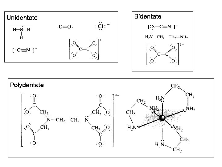 Unidentate Polydentate Bidentate Unidentate Polydentate Bidentate