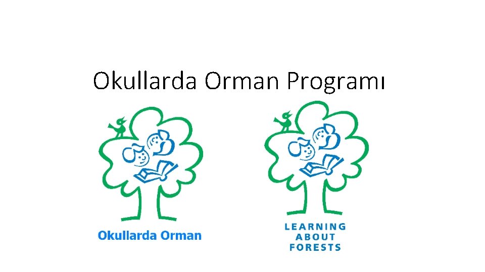 Okullarda Orman Programı 