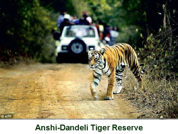 Bannerghatta National Park Ranganathittu Bandipur National Bird. Reserve Sanctury Park Anshi-Dandeli Nagarhole Tiger Reserve