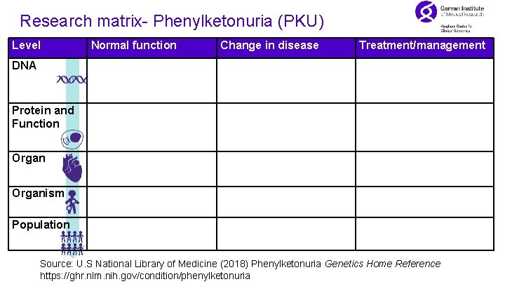 Research matrix- Phenylketonuria (PKU) Level Normal function Change in disease Treatment/management DNA Protein and
