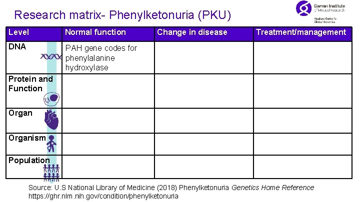 Research matrix- Phenylketonuria (PKU) Level Normal function DNA PAH gene codes for phenylalanine hydroxylase