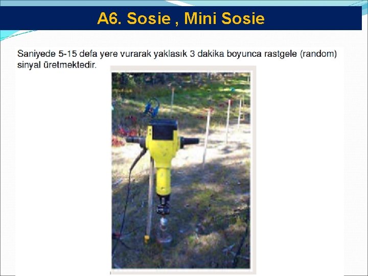 A 6. Sosie , Mini Sosie 