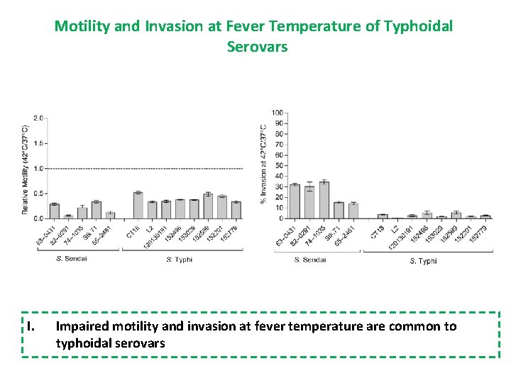 Motility and Invasion at Fever Temperature of Typhoidal Serovars I. Impaired motility and invasion