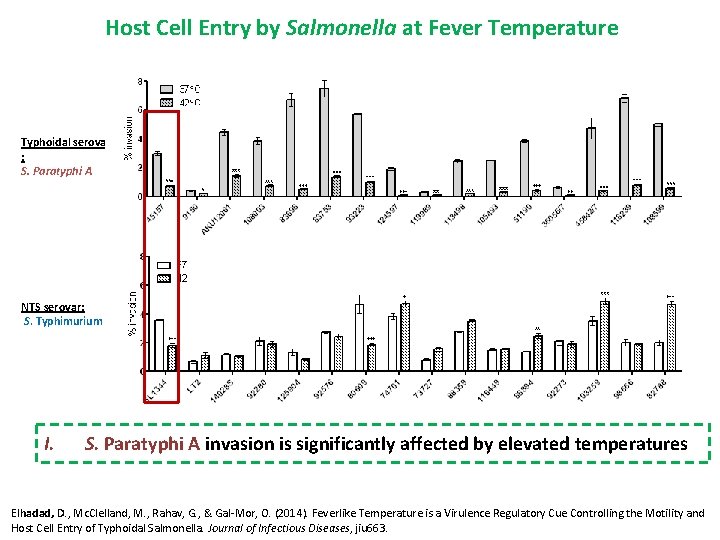 Host Cell Entry by Salmonella at Fever Temperature Typhoidal serovar : S. Paratyphi A