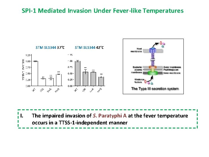 SPI-1 Mediated Invasion Under Fever-like Temperatures STM SL 1344 37°C I. STM SL 1344