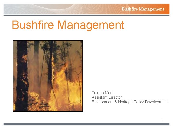 Bushfire Management Tracee Martin Assistant Director Environment & Heritage Policy Development 1 