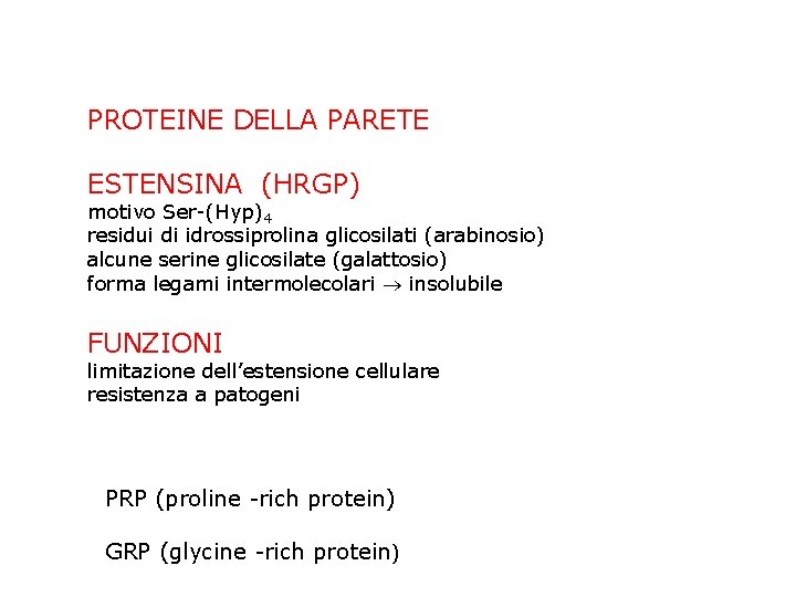 PROTEINE DELLA PARETE ESTENSINA (HRGP) motivo Ser-(Hyp)4 residui di idrossiprolina glicosilati (arabinosio) alcune serine