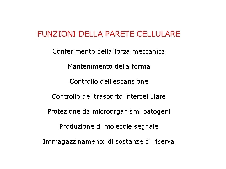 FUNZIONI DELLA PARETE CELLULARE Conferimento della forza meccanica Mantenimento della forma Controllo dell’espansione Controllo