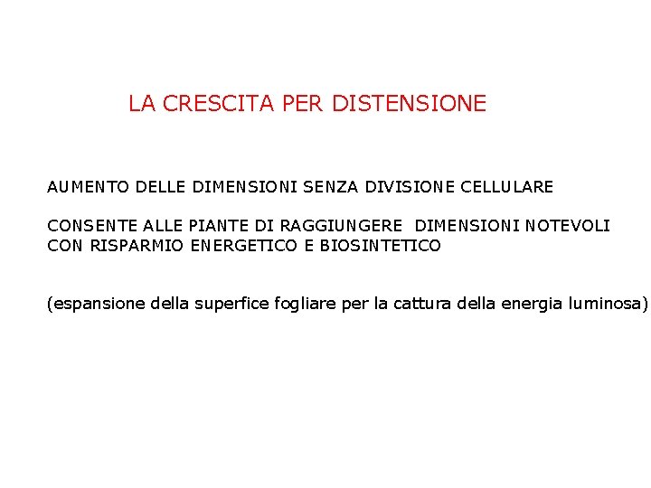 LA CRESCITA PER DISTENSIONE AUMENTO DELLE DIMENSIONI SENZA DIVISIONE CELLULARE CONSENTE ALLE PIANTE DI