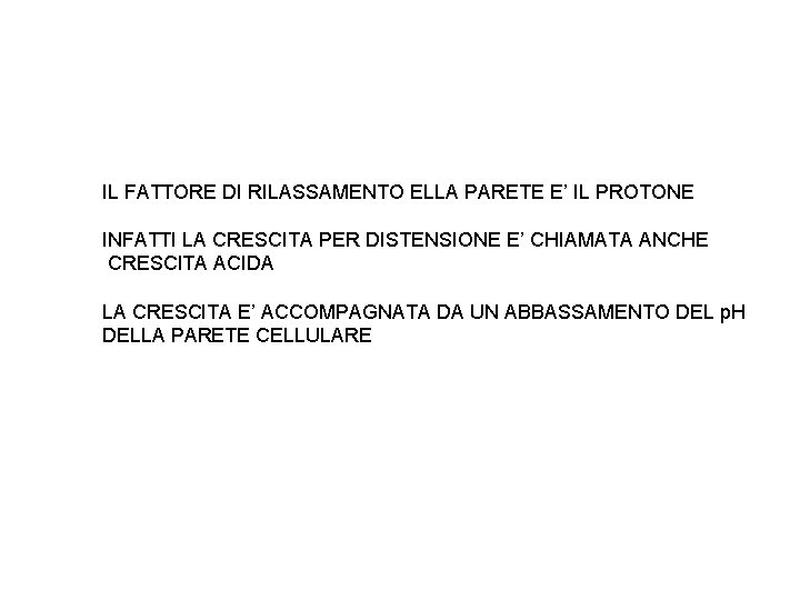 IL FATTORE DI RILASSAMENTO ELLA PARETE E’ IL PROTONE INFATTI LA CRESCITA PER DISTENSIONE