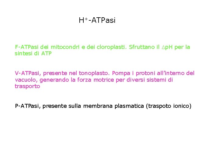 H+-ATPasi F-ATPasi dei mitocondri e dei cloroplasti. Sfruttano il p. H per la sintesi