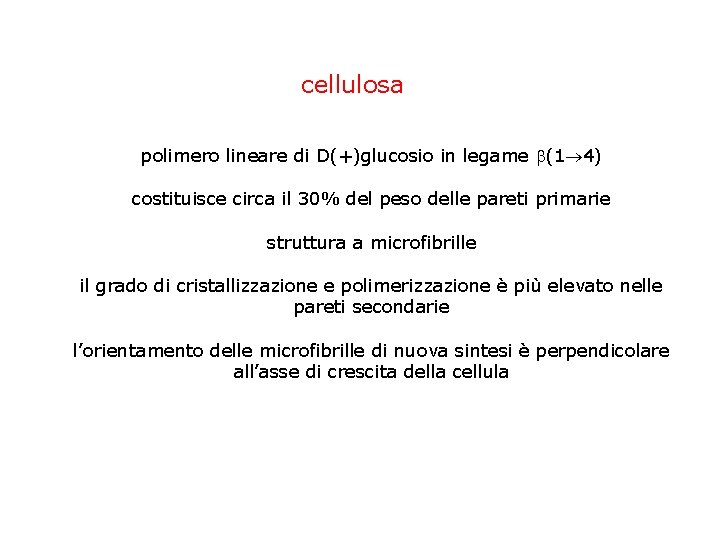 cellulosa polimero lineare di D(+)glucosio in legame (1 4) costituisce circa il 30% del