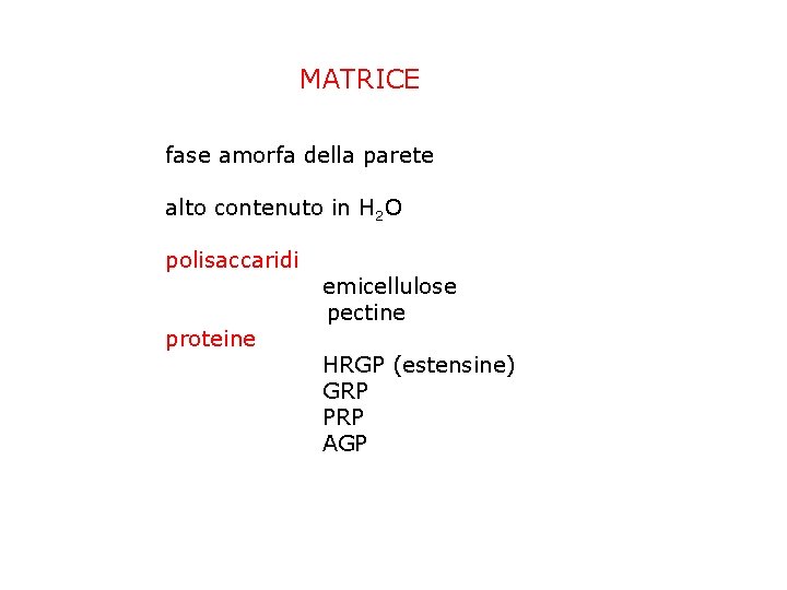 MATRICE fase amorfa della parete alto contenuto in H 2 O polisaccaridi proteine emicellulose