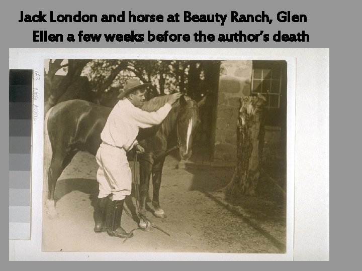 Jack London and horse at Beauty Ranch, Glen Ellen a few weeks before the
