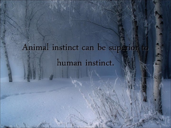 Animal instinct can be superior to human instinct. 