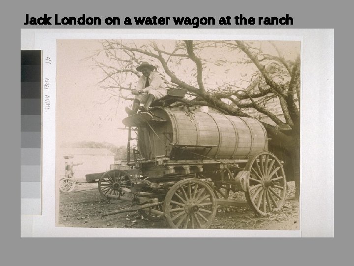 Jack London on a water wagon at the ranch 