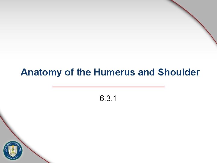 Anatomy of the Humerus and Shoulder 6. 3. 1 Anatomy of the Humerus and Shoulder 6. 3. 1