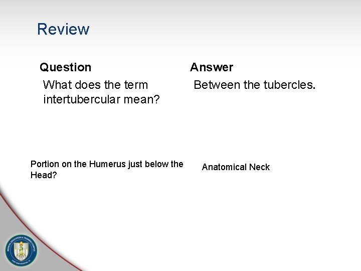 Review Question What does the term intertubercular mean? Portion on the Humerus just below Review Question What does the term intertubercular mean? Portion on the Humerus just below