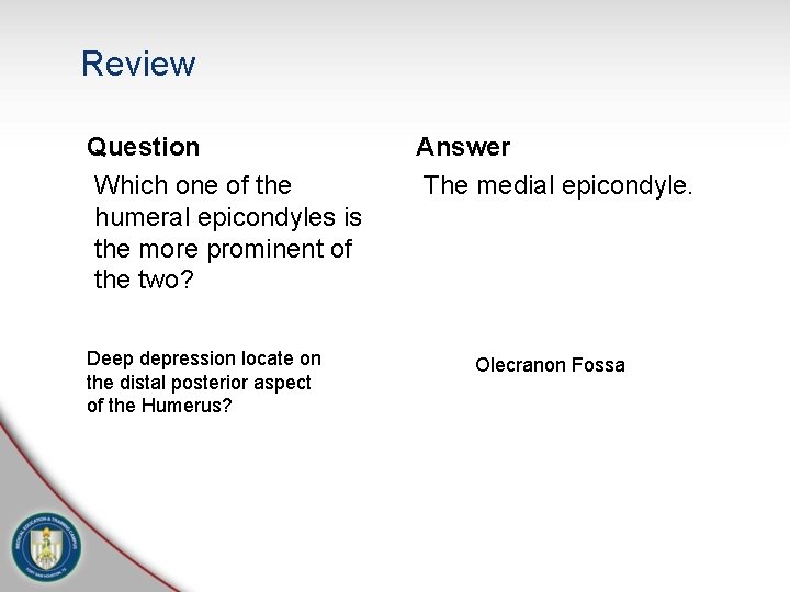 Review Question Which one of the humeral epicondyles is the more prominent of the Review Question Which one of the humeral epicondyles is the more prominent of the
