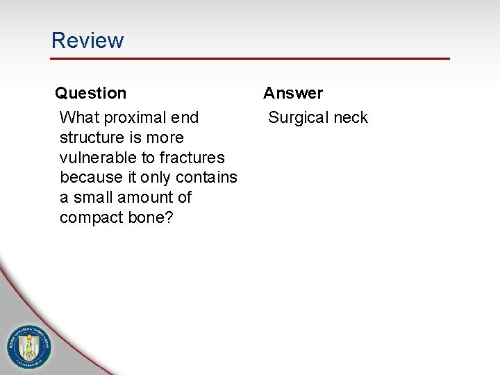 Review Question What proximal end structure is more vulnerable to fractures because it only Review Question What proximal end structure is more vulnerable to fractures because it only