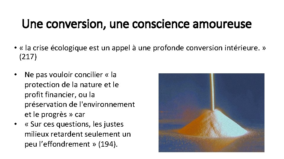 Une conversion, une conscience amoureuse • « la crise écologique est un appel à