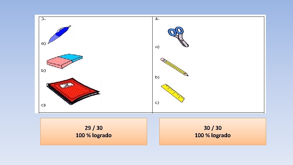 29 / 30 100 % logrado 30 / 30 100 % logrado 