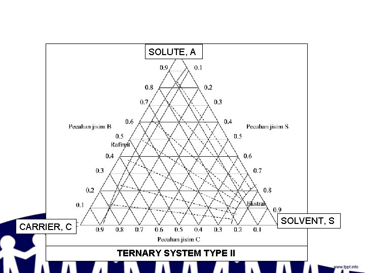 SOLUTE, A SOLVENT, S CARRIER, C TERNARY SYSTEM TYPE II 