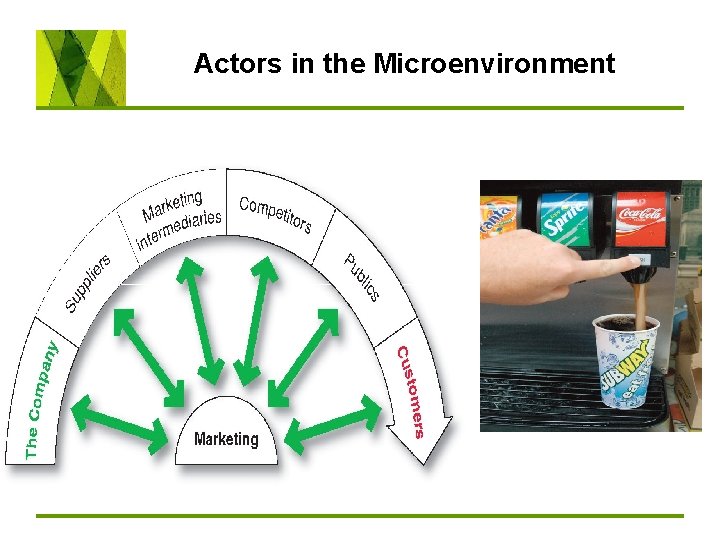 Actors in the Microenvironment 