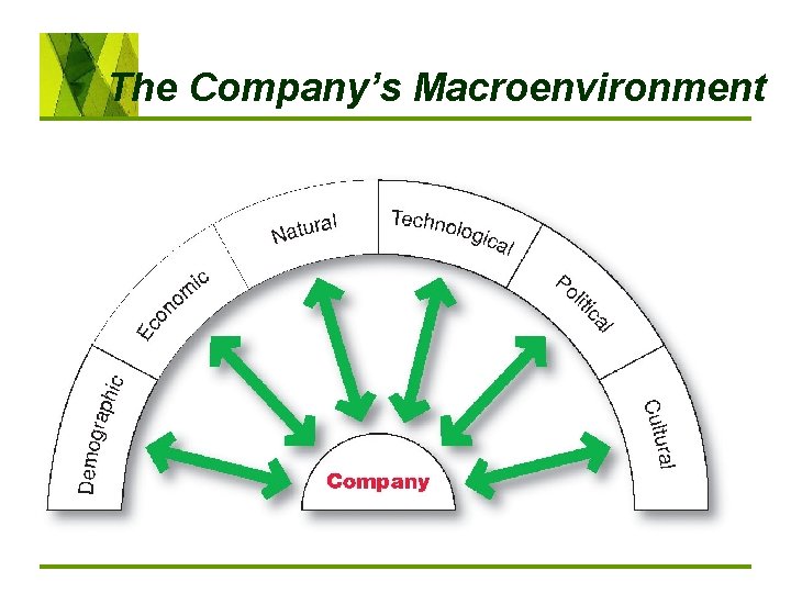 The Company’s Macroenvironment 