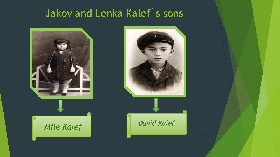 Jakov and Lenka Kalef`s sons Mile Kalef David Kalef Jakov and Lenka Kalef`s sons Mile Kalef David Kalef