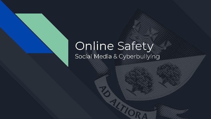 Online Safety Social Media & Cyberbullying 