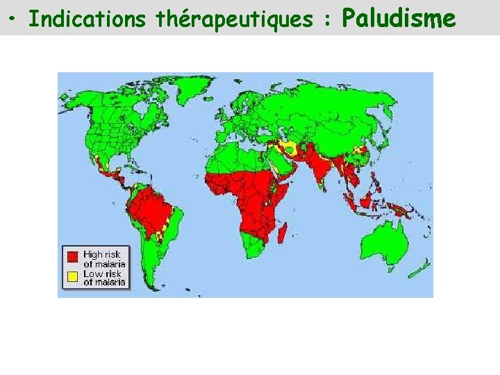  • Indications thérapeutiques : Paludisme 