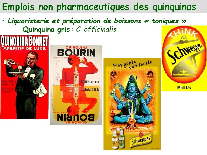 Emplois non pharmaceutiques des quinas • Liquoristerie et préparation de boissons « toniques »