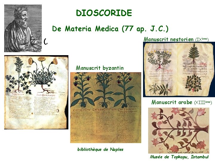 DIOSCORIDE De Materia Medica (77 ap. J. C. ) Manuscrit nestorien (, (IXème) Manuscrit