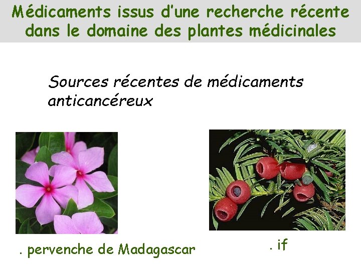 Médicaments issus d’une recherche récente dans le domaine des plantes médicinales Sources récentes de