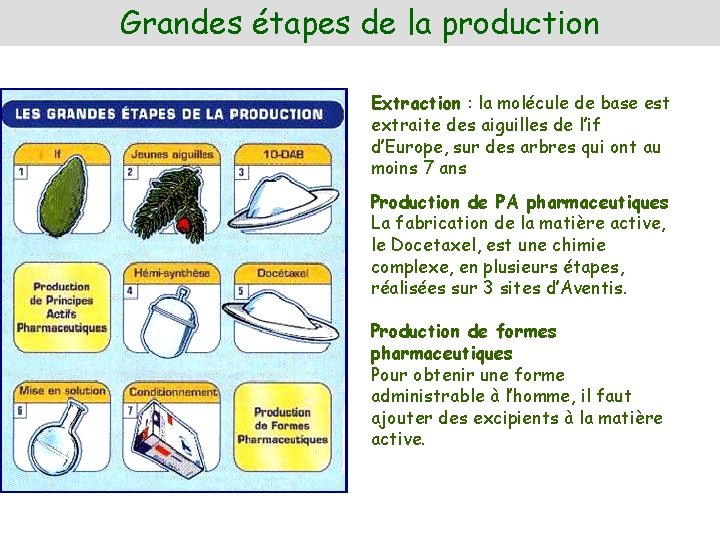 Grandes étapes de la production Extraction : la molécule de base est extraite des