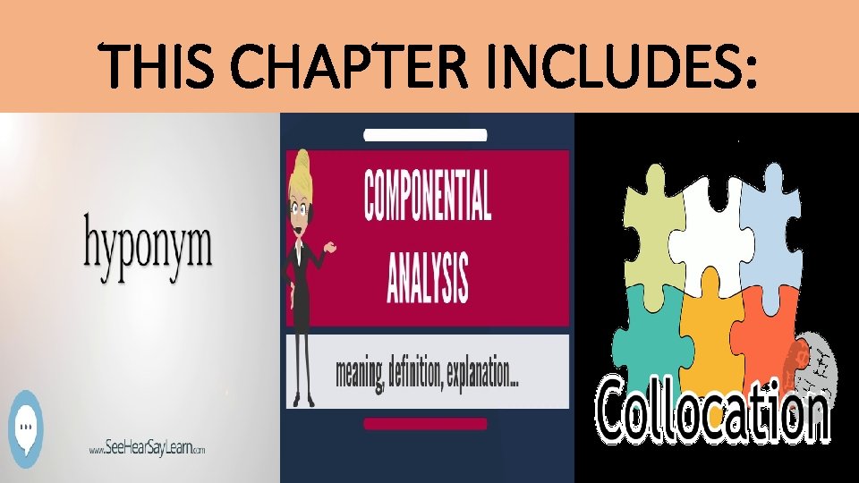 THIS CHAPTER INCLUDES: 