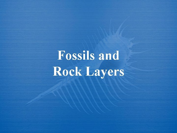 Fossils and Rock Layers 